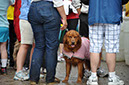 2011 Jim Calhoun Cancer Challenge Ride and Walk - Kris M. Photos 247