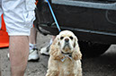 2011 Jim Calhoun Cancer Challenge Ride and Walk - Kris M. Photos 114